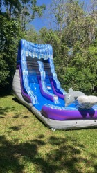 1000004357 1744510901 Dolphin 16Ft