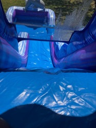 1000004361 1744510900 Dolphin 16Ft