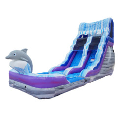 Dolphin 16Ft