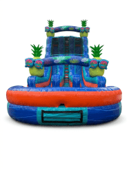 22ft DL Tropical Pineapple Paradise