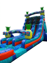 1773626144761 1773626408 22ft DL Tropical Pineapple Paradise