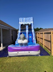 Messenger creation 48005967 9879 44B1 AE14 EED70EF1E876 177291469 1 Dolphin 16Ft