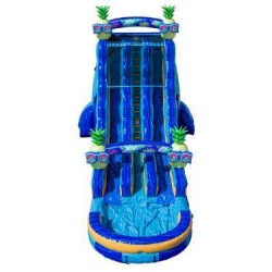 Resized DJI 20260227125411 0026 D 1772918403 22ft DL Tropical Pineapple Paradise