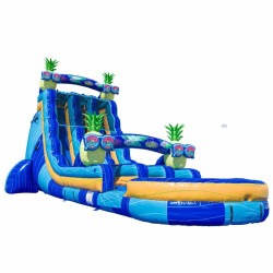 Resized DJI 20260227125442 0030 D 1772918402 22ft DL Tropical Pineapple Paradise