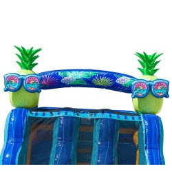 Resized DJI 20260227125543 0034 D 1772918403 22ft DL Tropical Pineapple Paradise