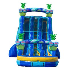 22ft DL Tropical Pineapple Paradise